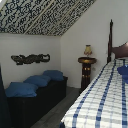 Gaestehaus Fuchsroehre 호텔 *